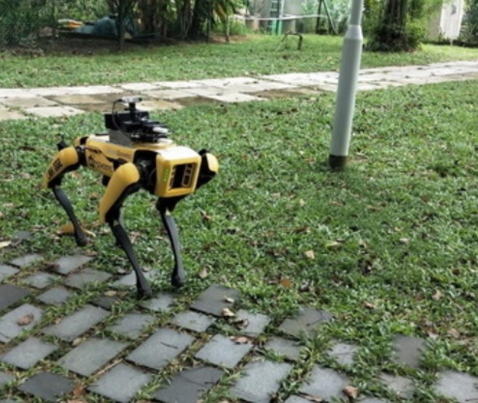 Con perro robot buscarán mantener distancia física durante cuarentena