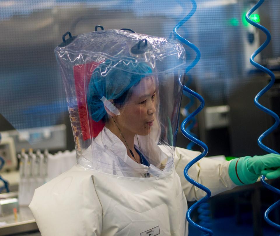 OMS pide a China que ‘la invite’ a investigar orígenes del coronavirus