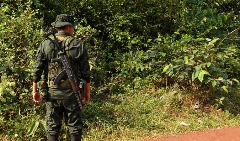 Grupos armados ilegales aumentan expansión territorial en Colombia pese a esfuerzos de paz: HRW