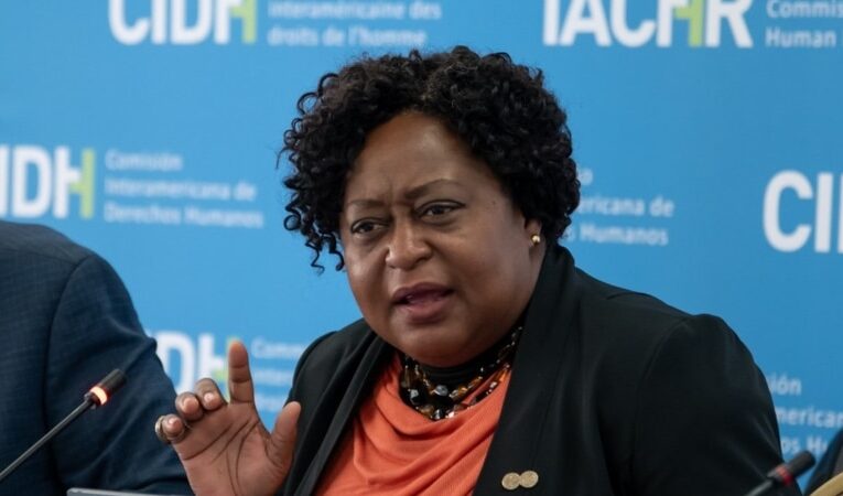 Relatora de CIDH para Venezuela: “El 10 de enero será una fecha importante para el pueblo venezolano y la región”