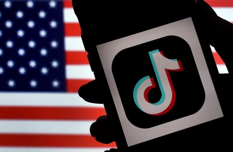 TikTok tacha de ‘pura ficción’ la venta a Elon Musk para evitar su cierre en EE. UU.