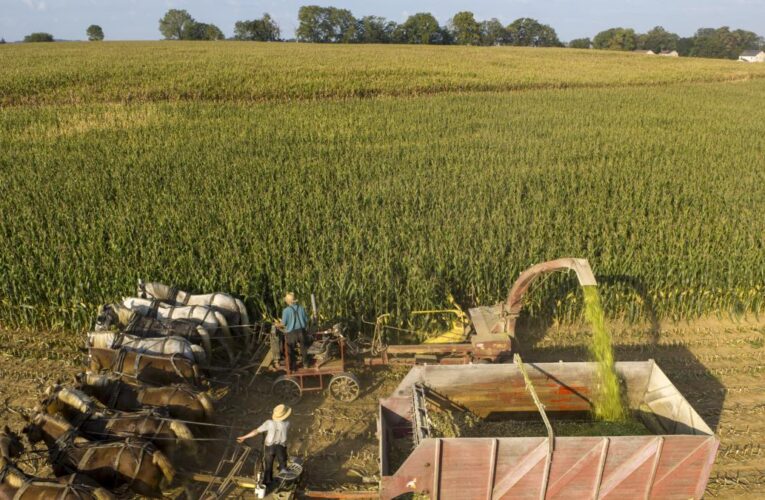 Tomando fotografías en complejas tierras amish