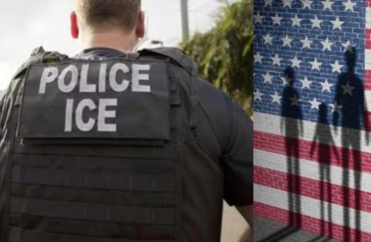 ¿Qué es la Operación Maremoto, la técnica infalible que ICE y Trump tienen contra los migrantes?
