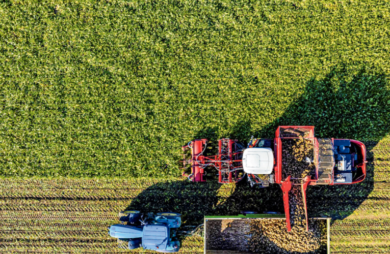 ¿podrá el mundo alimentar a diez mil millones de personas?