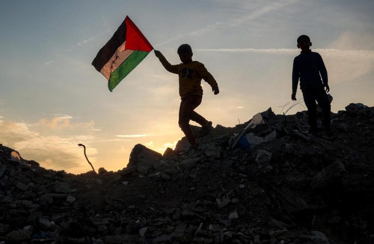 ‘En Israel, los libros educativos mezclan, todo el tiempo, a los palestinos con los nazis’: Nurit Peled-Elhanan